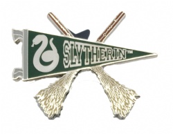 NS LAPEL PIN 9